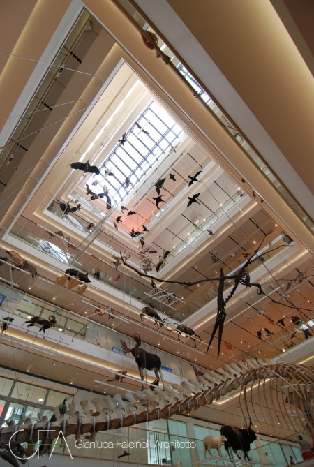Museo delle Scienze (MuSe) - Renzo Piano, Trento